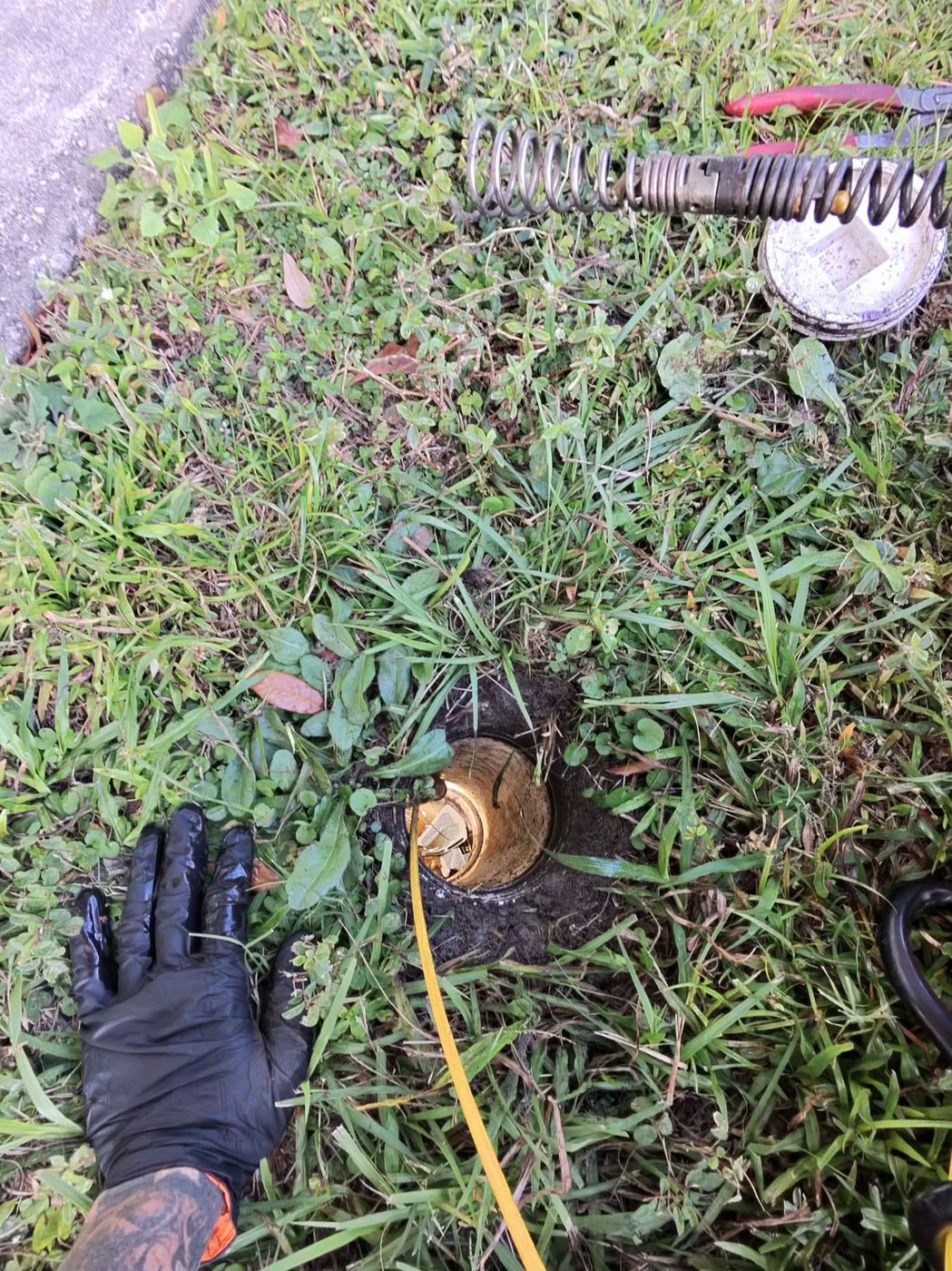 Outdoor mainline sewer cleanout access in a Largo, FL yard — The Snake Charmer LLC